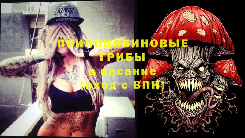 Галлюциногенные грибы мухоморы  OMG сайт  Кинешма 