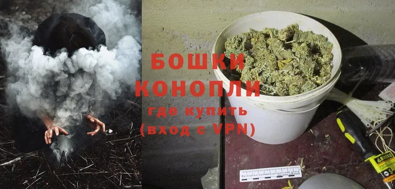 Бошки Шишки THC 21%  Кинешма 